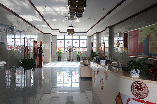 養(yǎng)老服務(wù)在鄉(xiāng)村振興中的實(shí)踐與挑戰(zhàn)